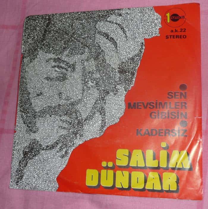 sen mevsimler gibisin kadersiz 1974 plak kapagi